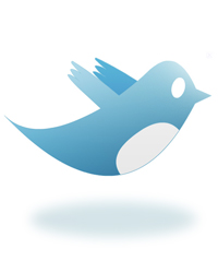 Shoe Shops on Twitter